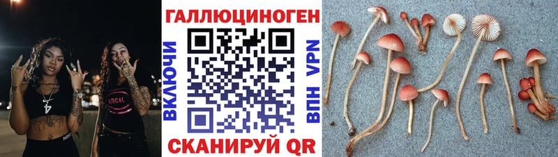 Галлюциногенные грибы Cubensis  OMG tor  Юрьевец 